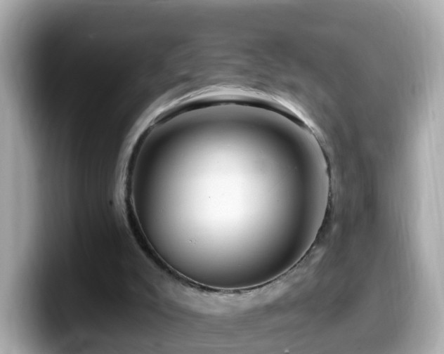 X0000099960007200805231350