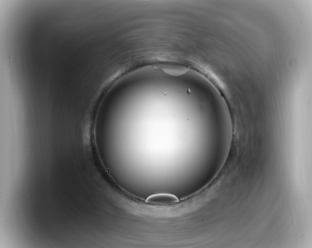 X0000099960010200805231349