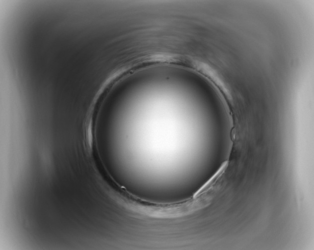 X0000099960011200805231349