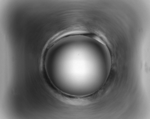 X0000099960012200805231349