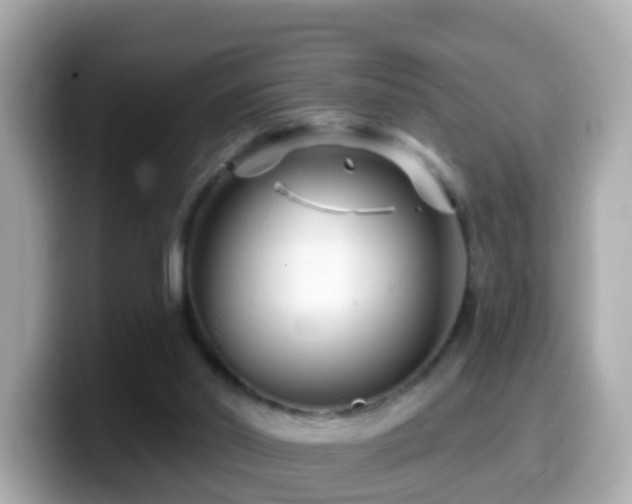 X0000099960014200805231349
