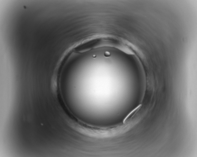 X0000099960015200805231349