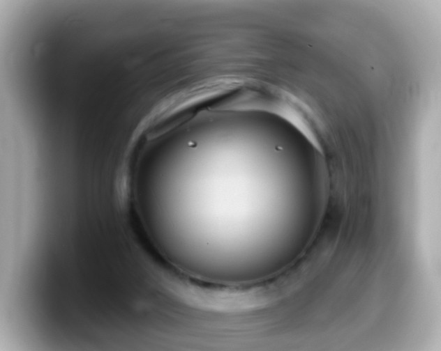 X0000099960016200805231349