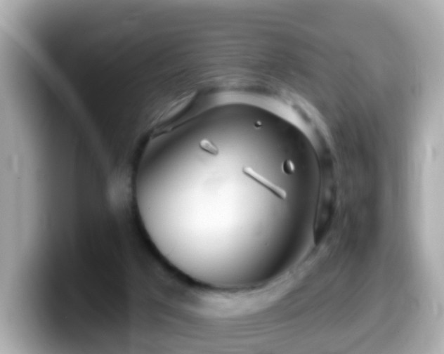 X0000099960017200805231349