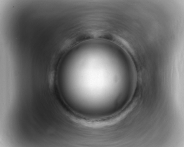 X0000099960018200805231349