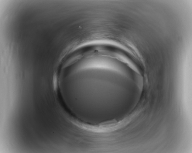 X0000099960019200805231349