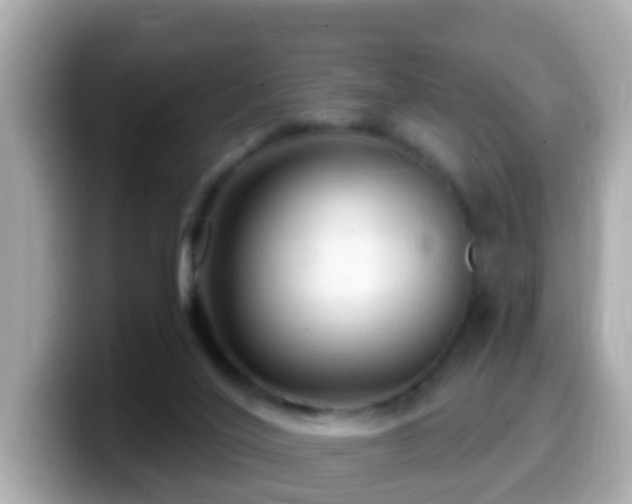 X0000099960020200805231349
