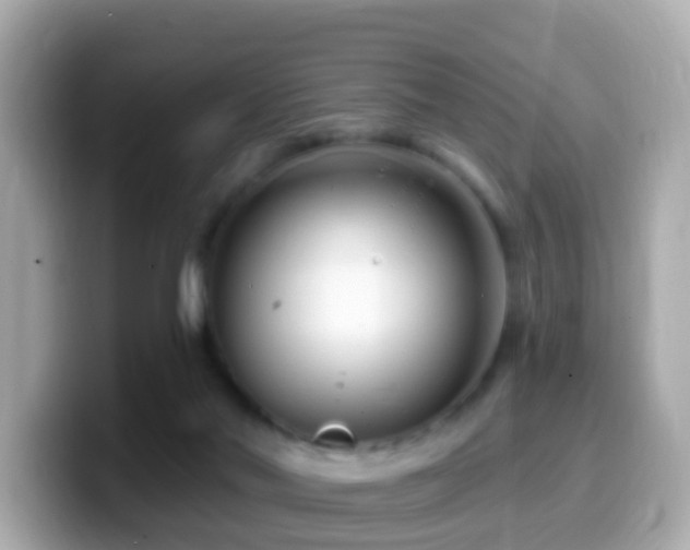 X0000099960022200805231349