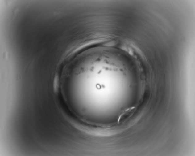 X0000099960024200805231349