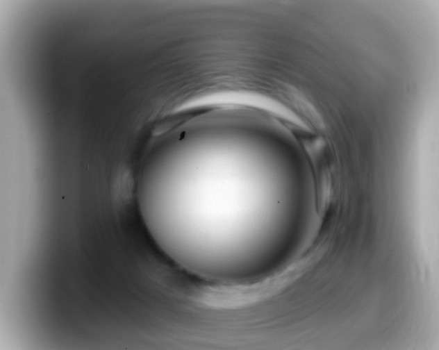 X0000099960025200805231349