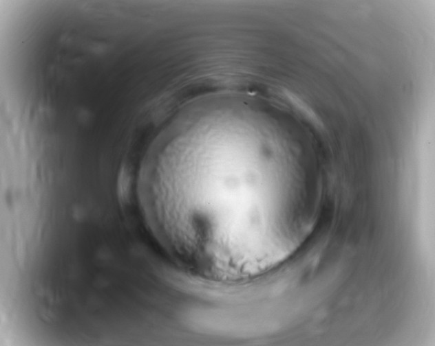 X0000099960026200805231349