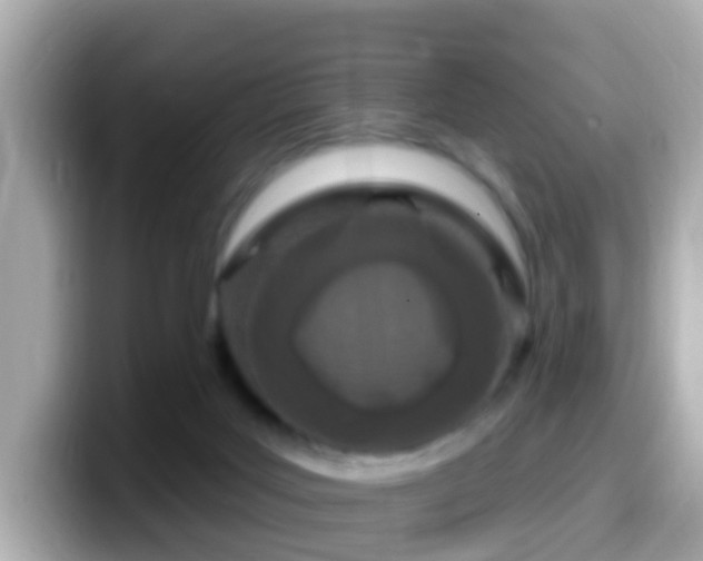 X0000099960027200805231349