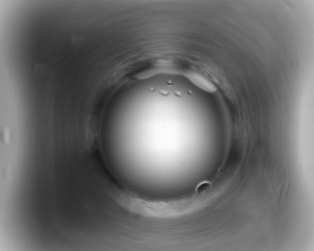 X0000099960030200805231349