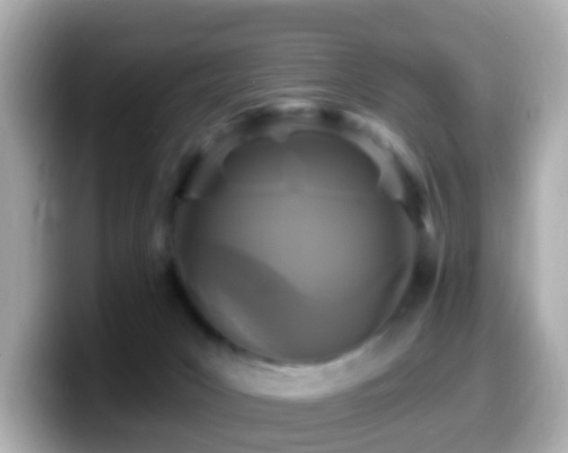 X0000099960031200805231349