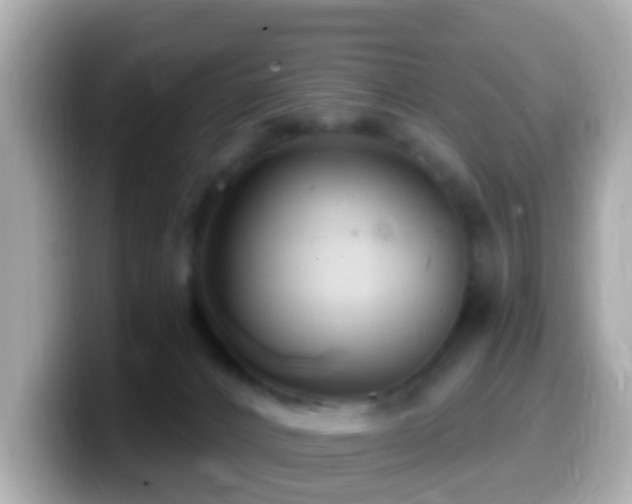 X0000099960032200805231349