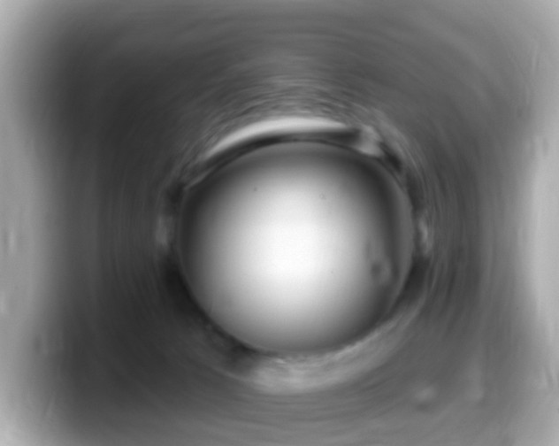 X0000099960033200805231349