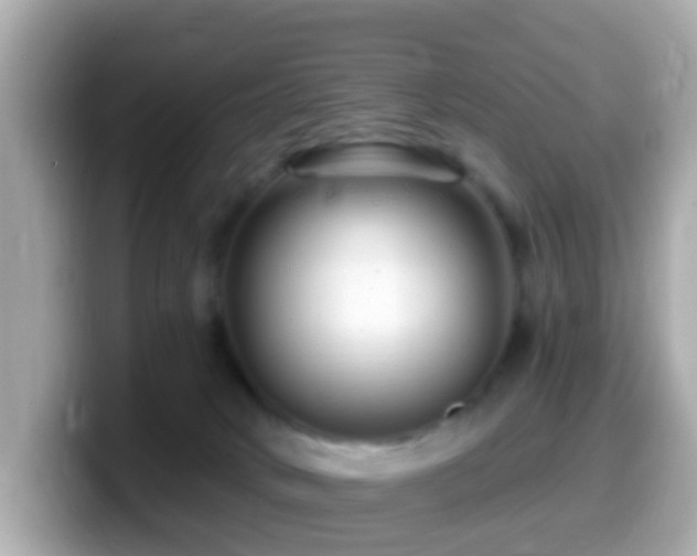 X0000099960034200805231349