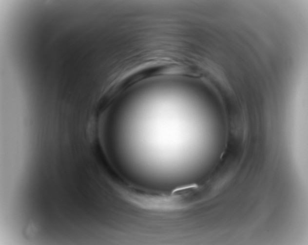 X0000099960036200805231349