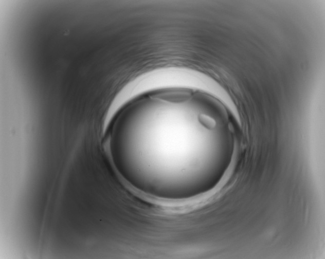 X0000099960037200805231349