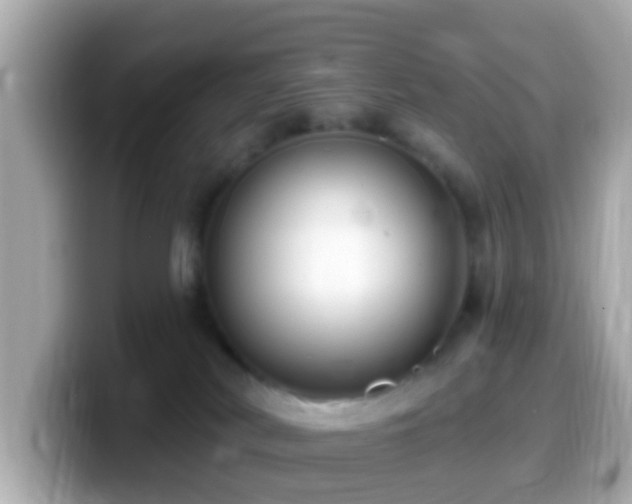 X0000099960038200805231349