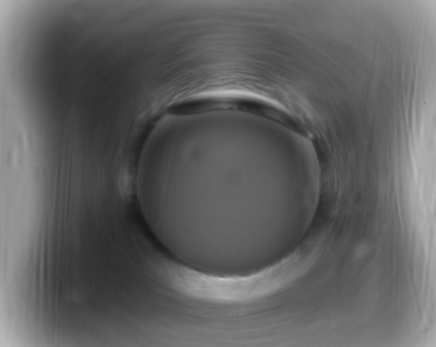 X0000099960039200805231349