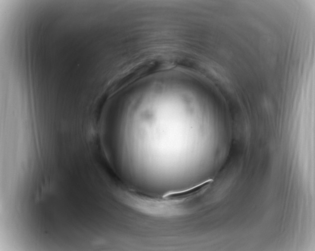 X0000099960040200805231349