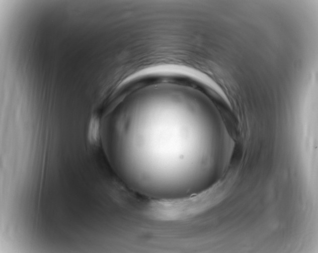 X0000099960041200805231349