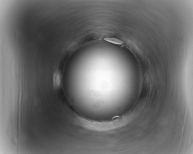 X0000099960042200805231349