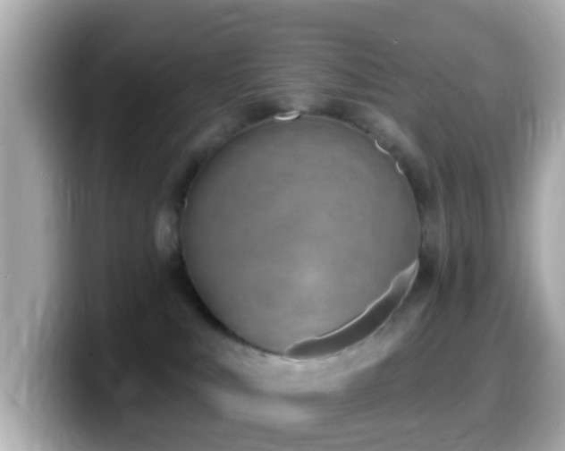 X0000099960043200805231349