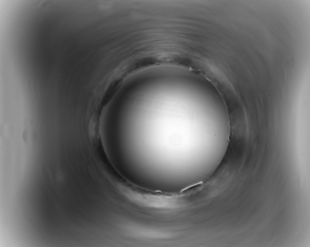 X0000099960044200805231349