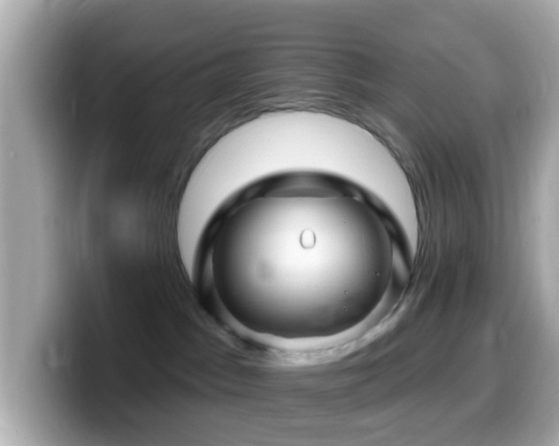 X0000099960045200805231349