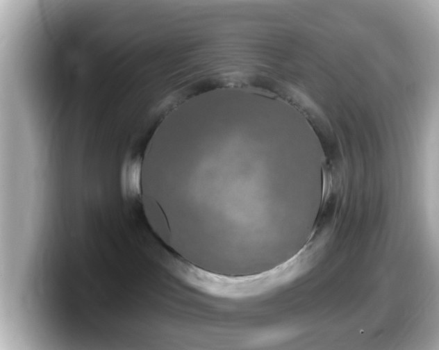 X0000099960047200805231349