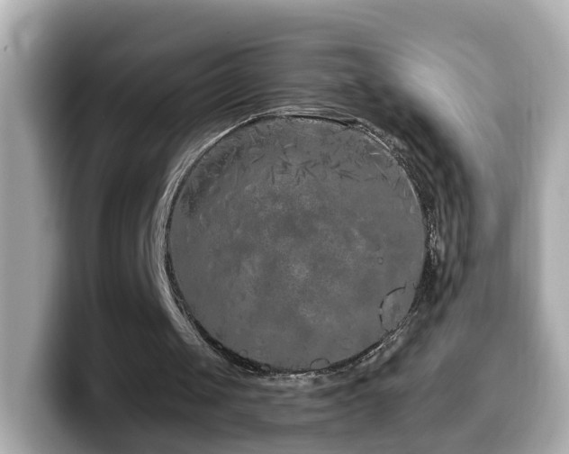 X0000099960049200805231348