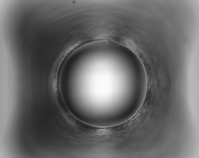 X0000099960050200805231348