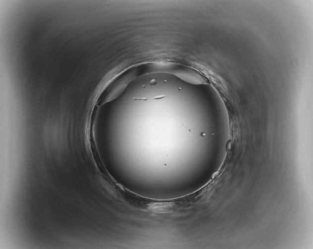 X0000099960051200805231348