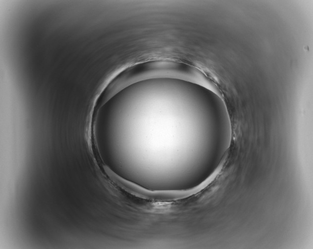 X0000099960052200805231348
