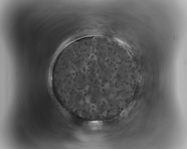 X0000099960053200805231348