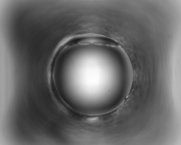 X0000099960054200805231348