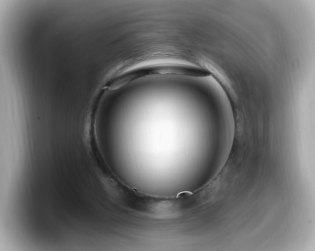 X0000099960058200805231348