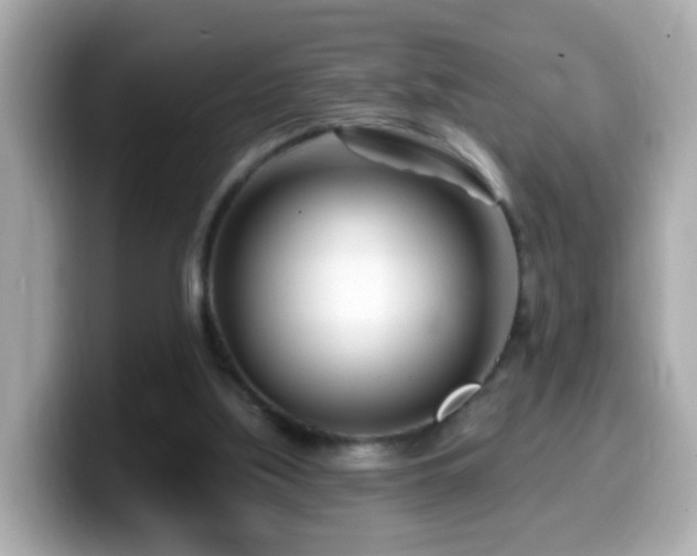 X0000099960059200805231349