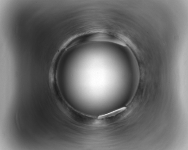 X0000099960060200805231349