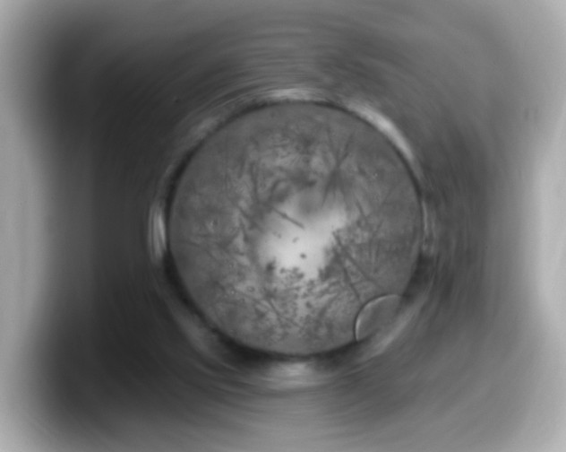 X0000099960061200805231349