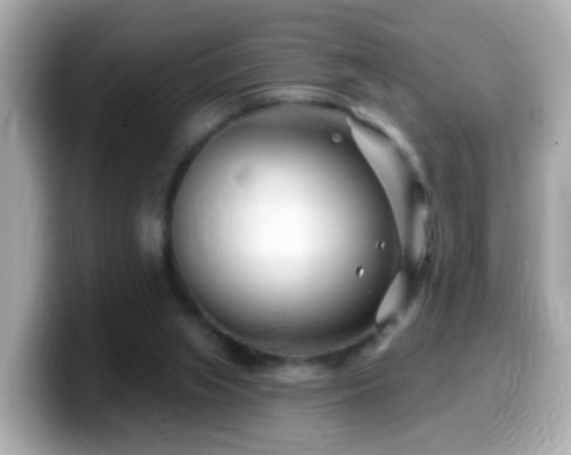 X0000099960063200805231349