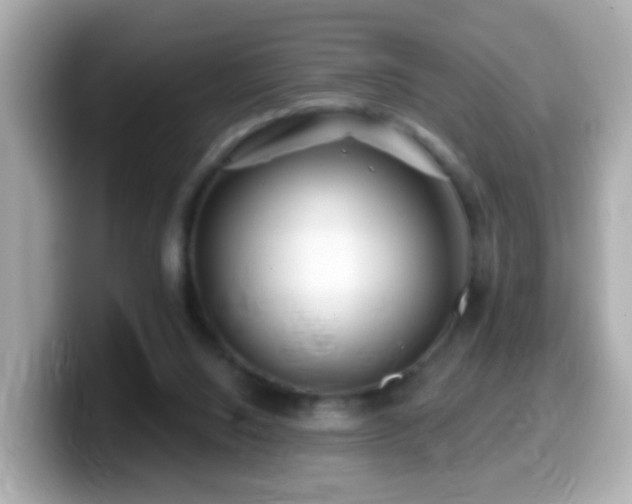 X0000099960064200805231349