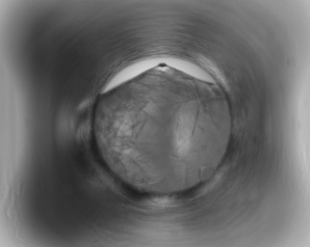X0000099960065200805231349