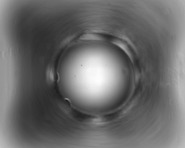 X0000099960068200805231349