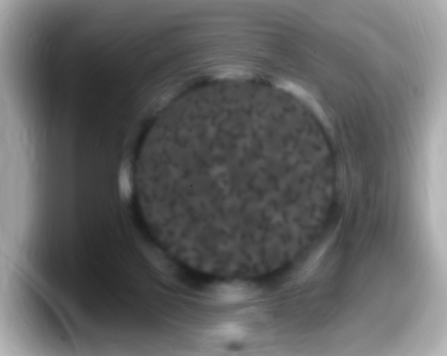 X0000099960069200805231349