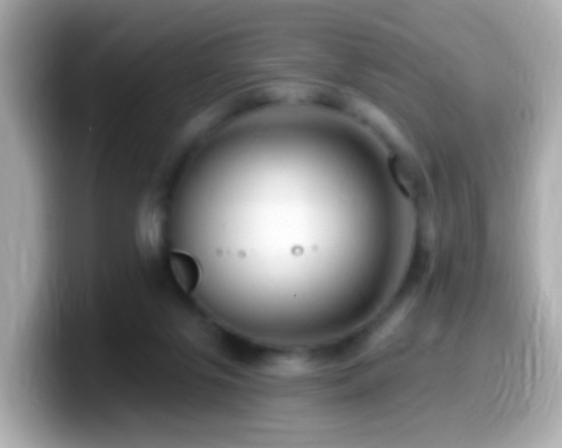 X0000099960071200805231349