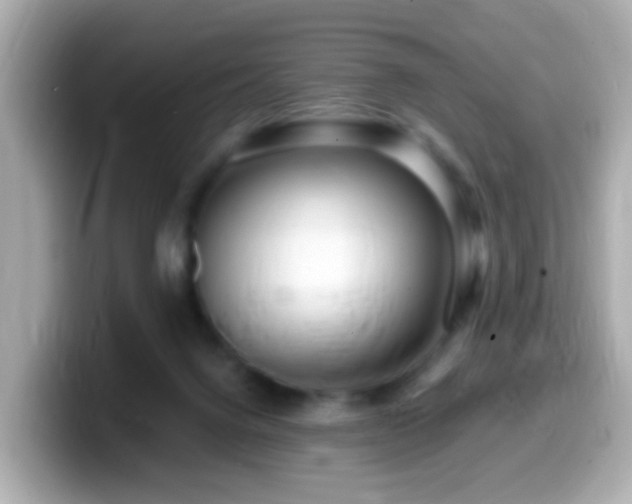 X0000099960072200805231349