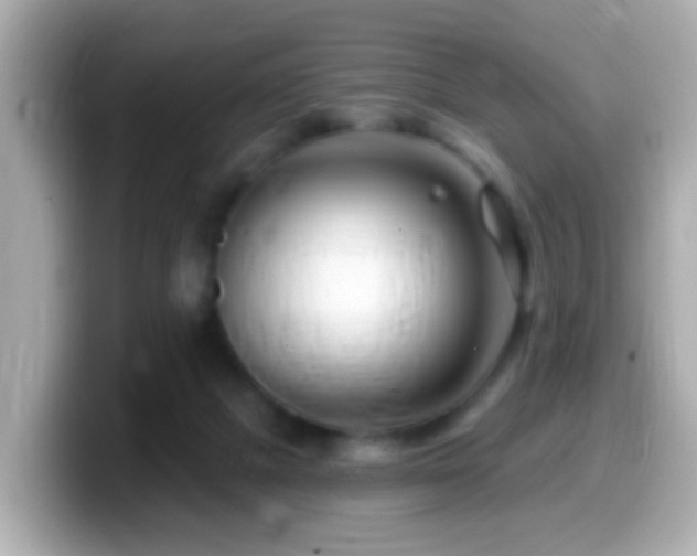 X0000099960073200805231349